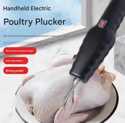 WhatsApp Image 2025 08 18 at 21.46.54