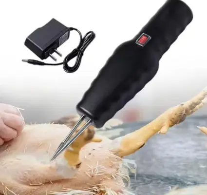 WhatsApp Image 2025 08 18 at 21.46.56