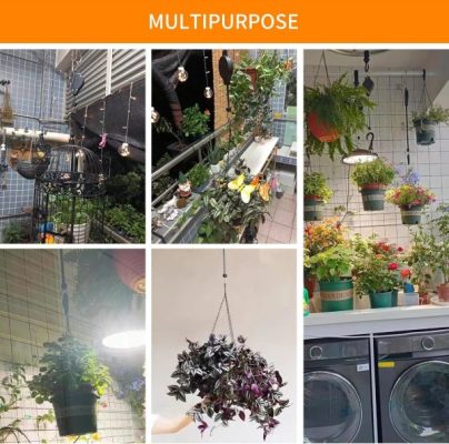 image 2026 04 01T114041.043