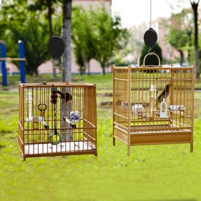 image 2026 04 01T121654.147