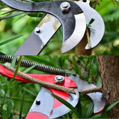 image 2026 04 27T164358.798